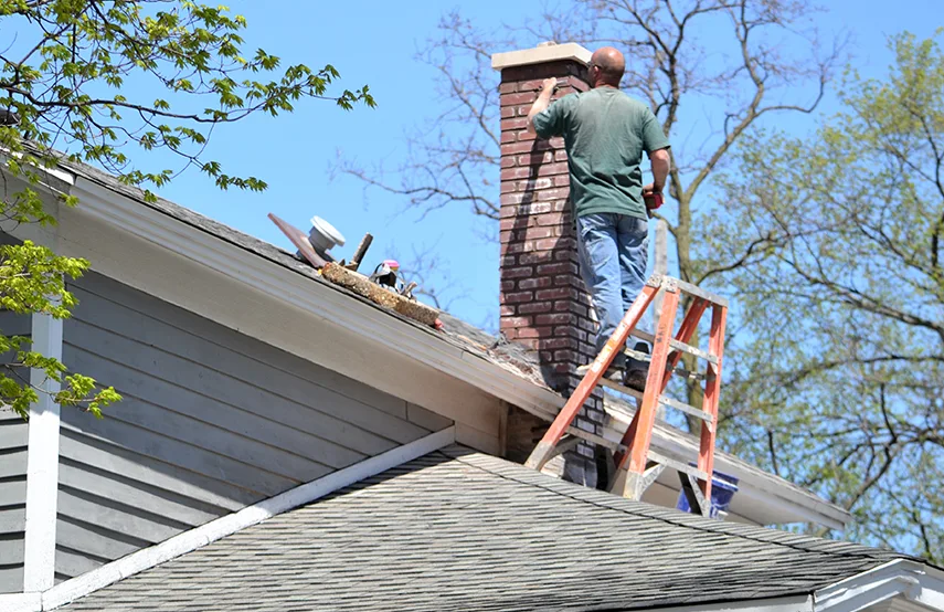 Chimney & Fireplace Inspections Services in South Pasadena, CA